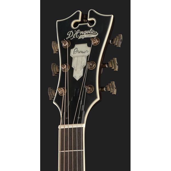 DAngelico Premier Gramercy Natural