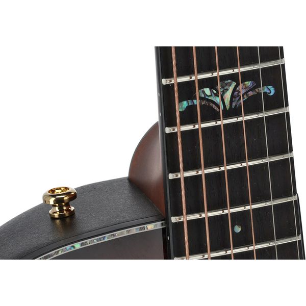 Ovation Celebrity CE44P Elite Plus FES