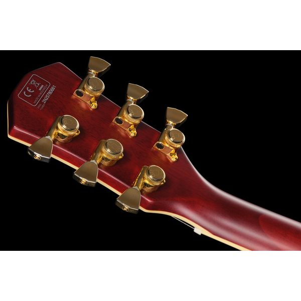 Larry Carlton L7V TS New Gen