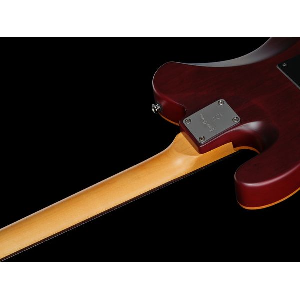 Larry Carlton T7 FM Natural Satin New Gen