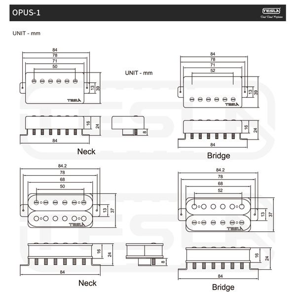 Tesla Opus-1 Bridge CH