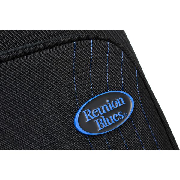 Reunion Blues Exp Dreadnought Guitar Case