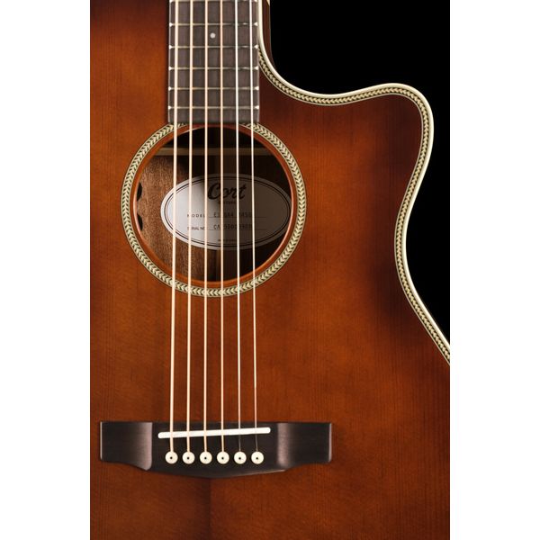 Cort Essence GA4 Brown Top