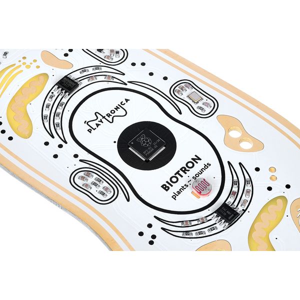 Playtronica Biotron Midi Controller