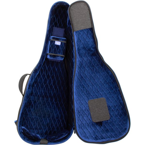 Reunion Blues Expedition Semi-Hollow Gigbag