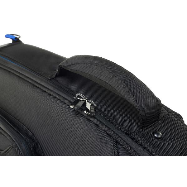 Reunion Blues Expedition Semi-Hollow Gigbag