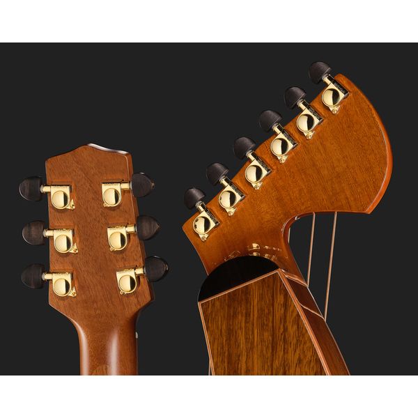 Timberline Guitars T80/20HGC 20String Harpguitar