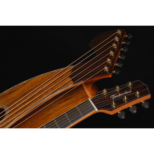 Timberline Guitars T80/20HGC 20String Harpguitar