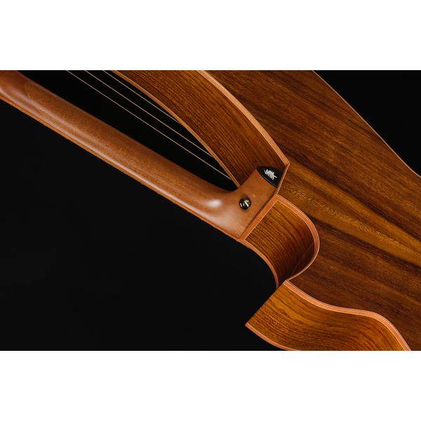 Timberline Guitars T80/20HGC 20String Harpguitar
