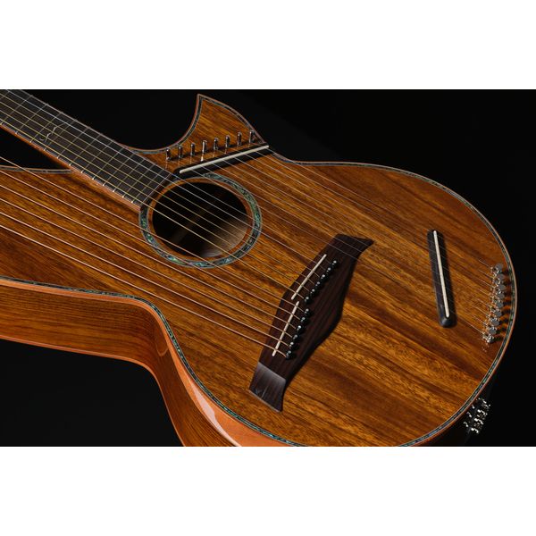 Timberline Guitars T80/20HGC 20String Harpguitar