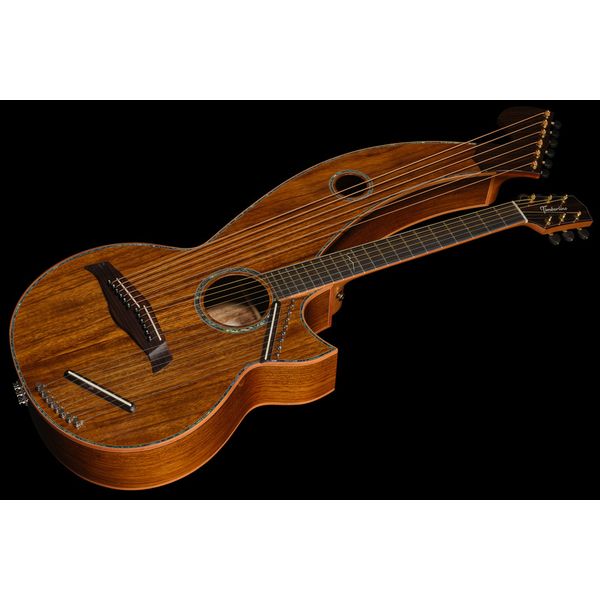Timberline Guitars T80/20HGC 20String Harpguitar
