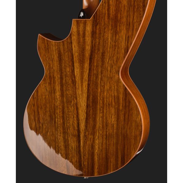 Timberline Guitars T80/20HGC 20String Harpguitar