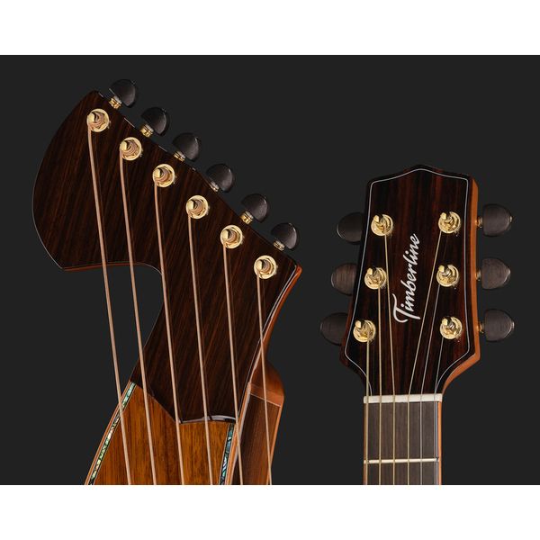 Timberline Guitars T80/20HGC 20String Harpguitar