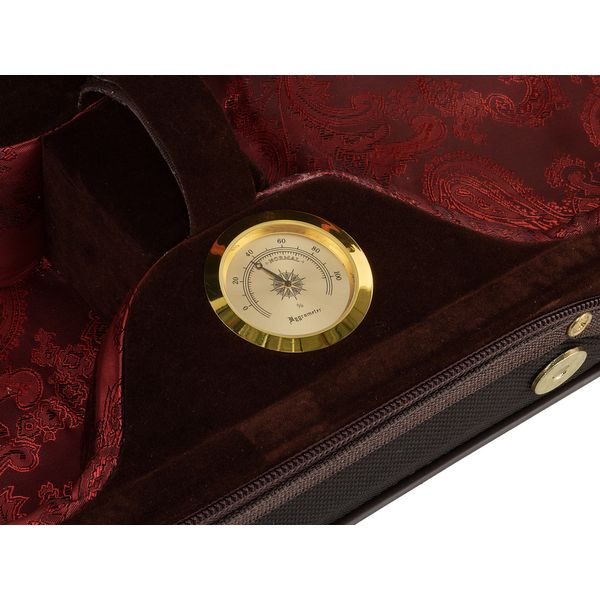 Roth & Junius Cadenza No.2G Violin Case 4/4