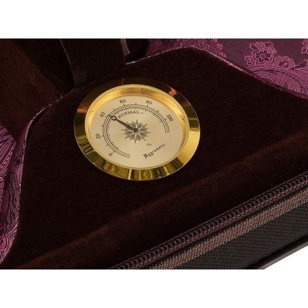 Roth & Junius Cadenza No.3G Violin Case 4/4