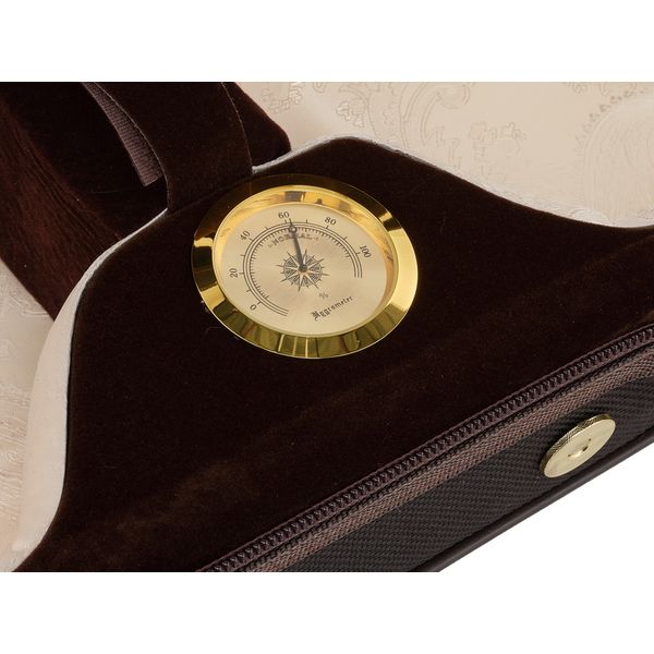 Roth & Junius Cadenza No.4G Violin Case 4/4