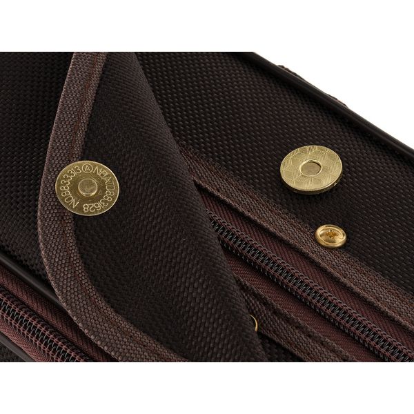 Roth & Junius Cadenza No.5G Violin Case 4/4