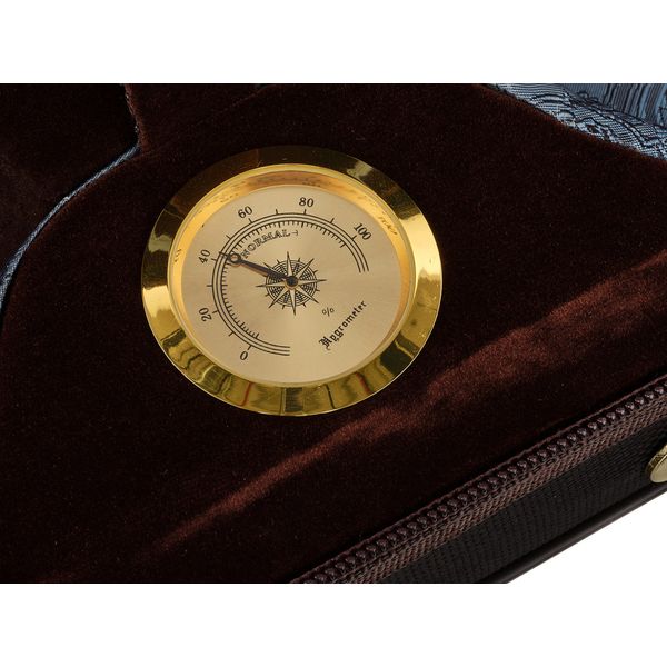 Roth & Junius Cadenza No.5G Violin Case 4/4