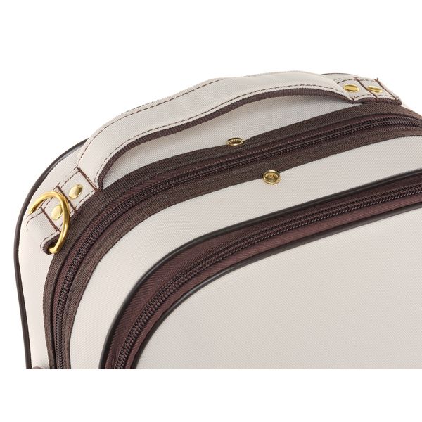 Roth & Junius Cadenza No.6G Violin Case 4/4