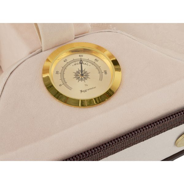 Roth & Junius Cadenza No.6G Violin Case 4/4