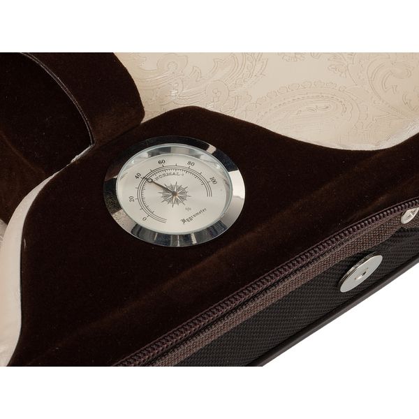 Roth & Junius Cadenza No.4S Violin Case 4/4