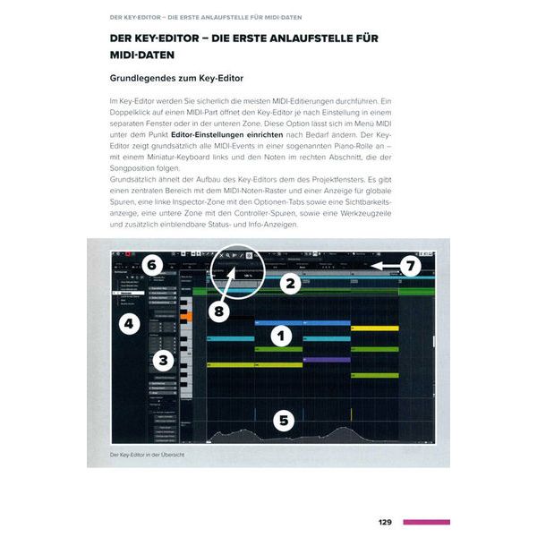 Tutorial Experts Cubase Complete