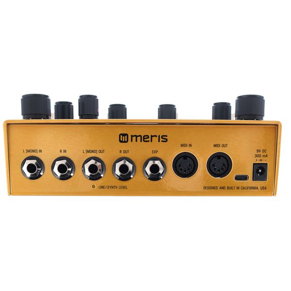 Meris Enzo X