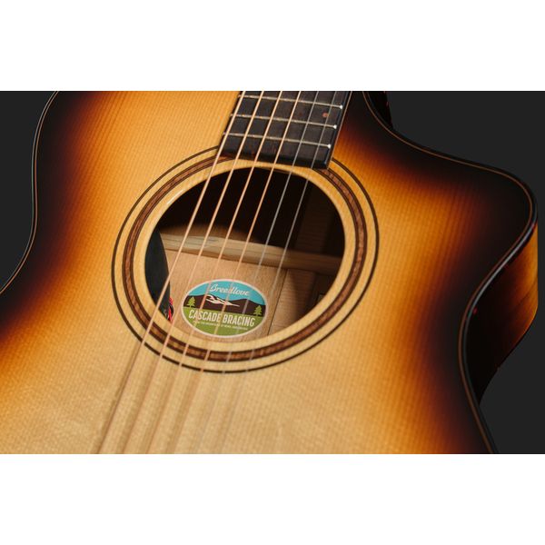 Breedlove Artista Pro Concert CE BA