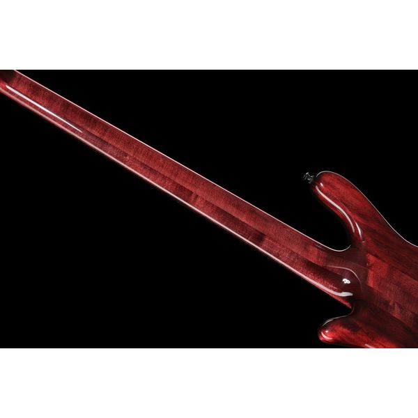 Spector NS-5 Black Cherry