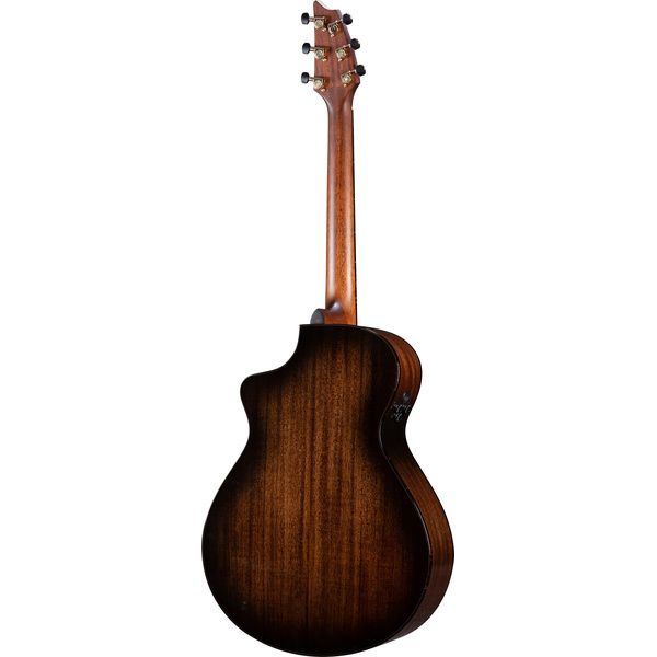 Breedlove Performer Pro Concert CE AT