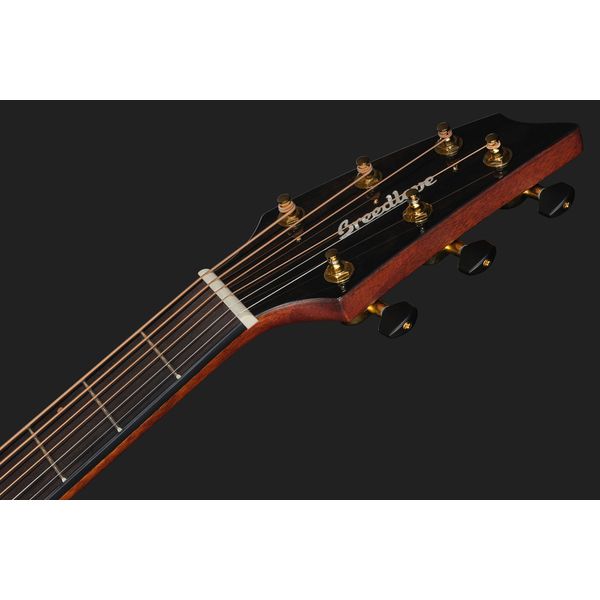 Breedlove Solo Pro Concert CE EB