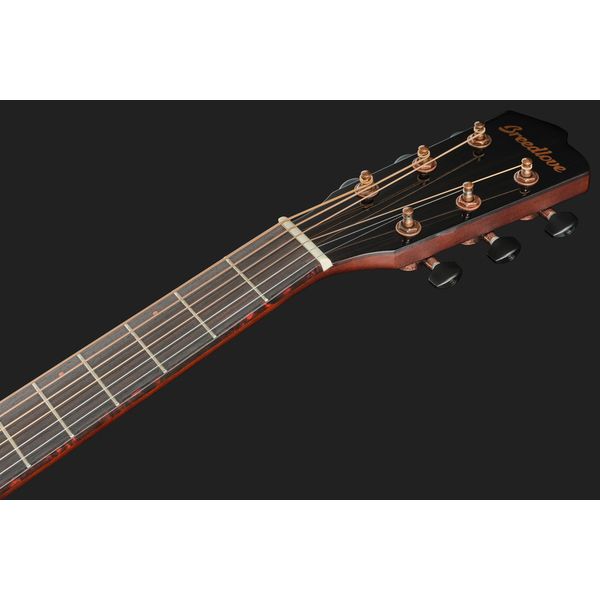Breedlove Pursuit Exotic S Concertina CE