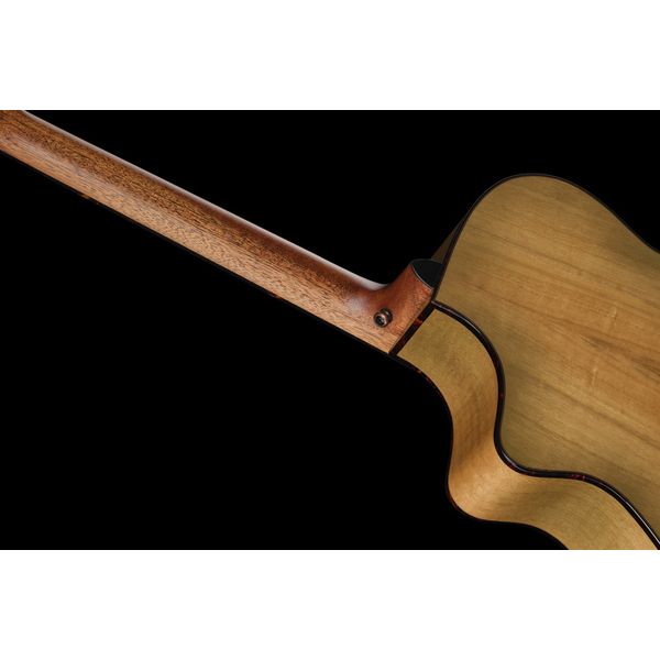 Breedlove Pursuit Exotic S Concert CE SG