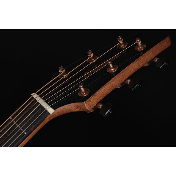 Breedlove Pursuit Exotic S Concert CE SG