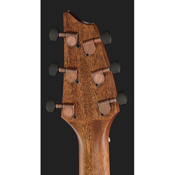 Breedlove Pursuit Exotic S Concert CE SG