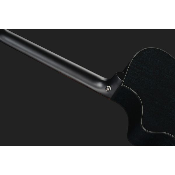 Breedlove Rainforest S Concert CE MB