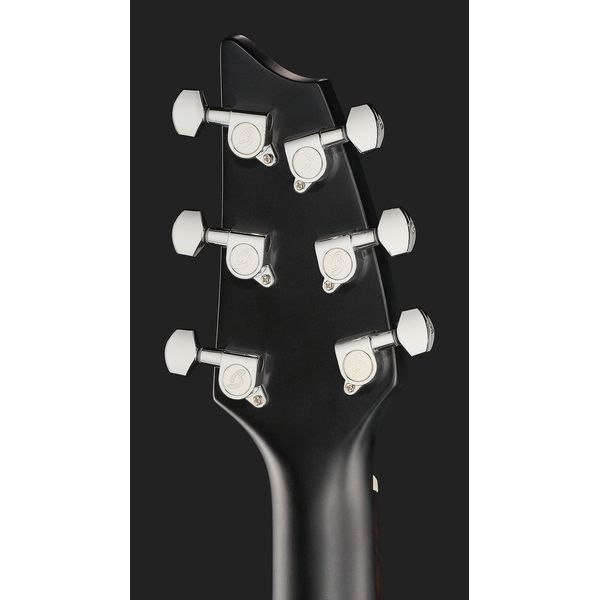 Breedlove Rainforest S Concert CE MB