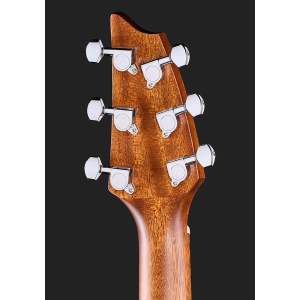 Breedlove Discovery S Concert