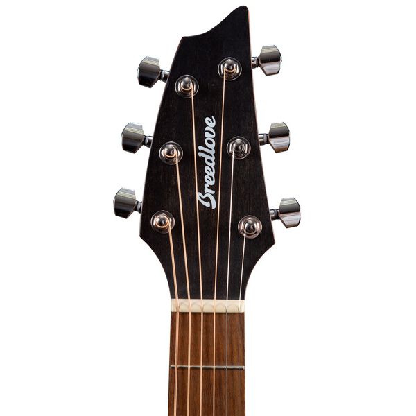 Breedlove Discovery S Companion