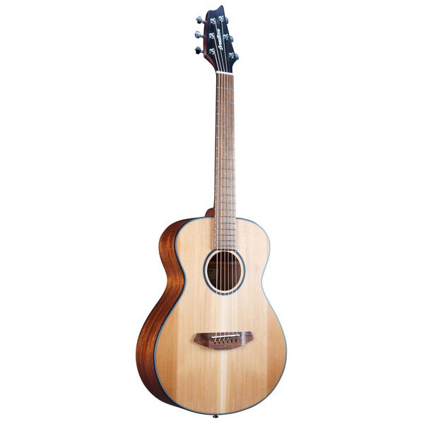 Breedlove Discovery S Companion