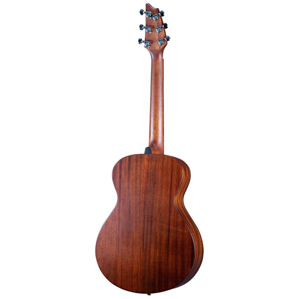 Breedlove Discovery S Companion