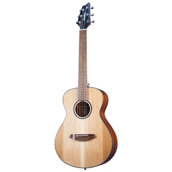 Breedlove Discovery S Companion