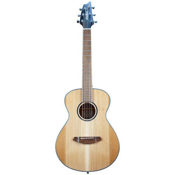 Breedlove Discovery S Companion