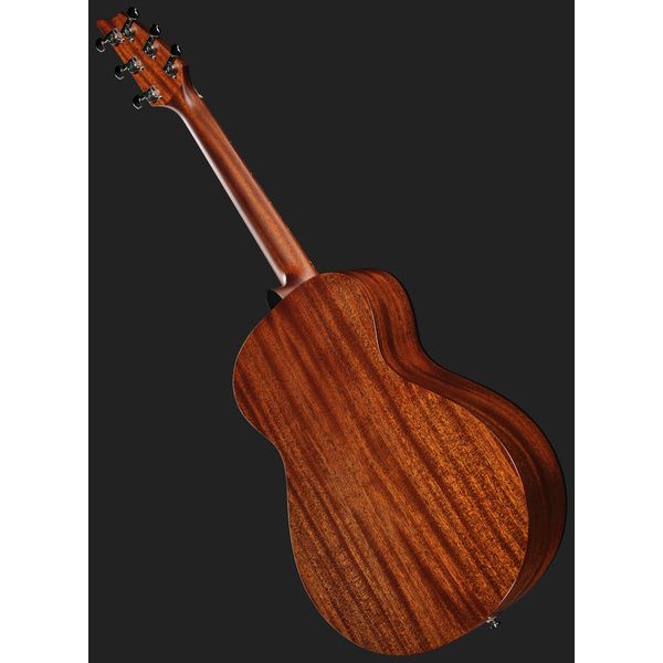 Breedlove Discovery S Companion