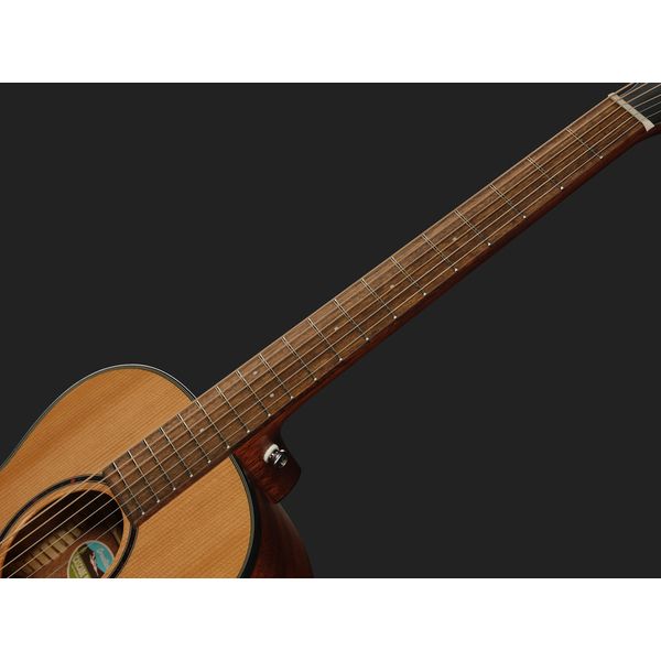 Breedlove Discovery S Companion