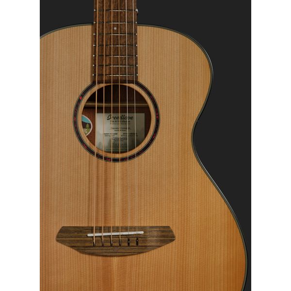 Breedlove Discovery S Companion