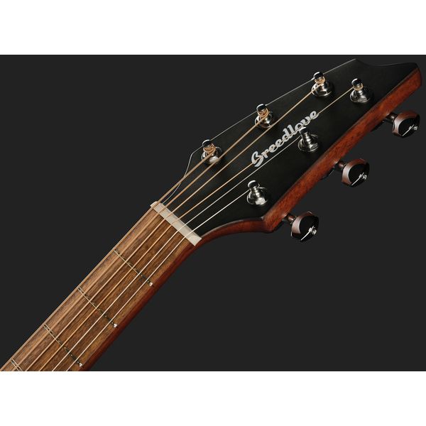 Breedlove Discovery S Companion