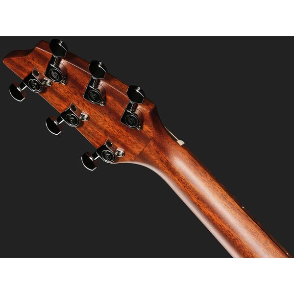 Breedlove Discovery S Companion