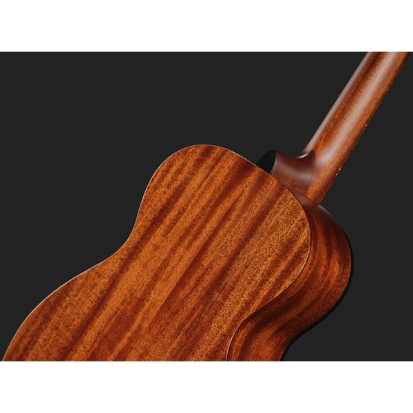 Breedlove Discovery S Companion