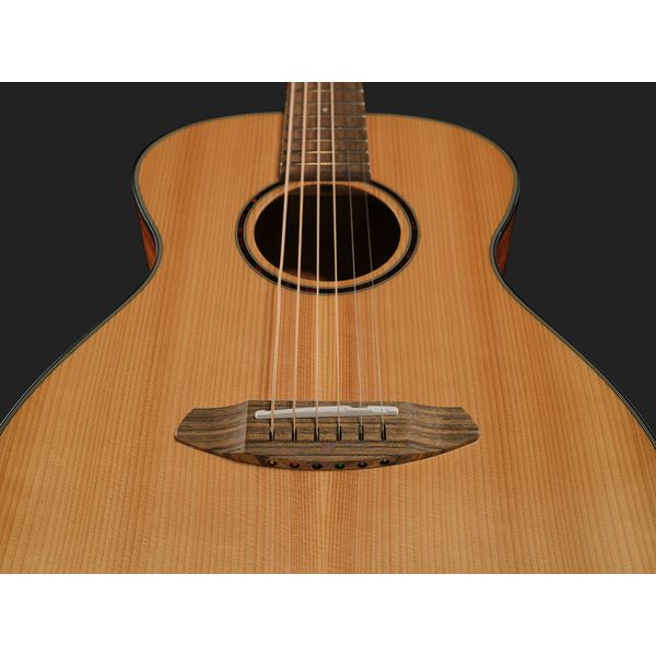 Breedlove Discovery S Companion